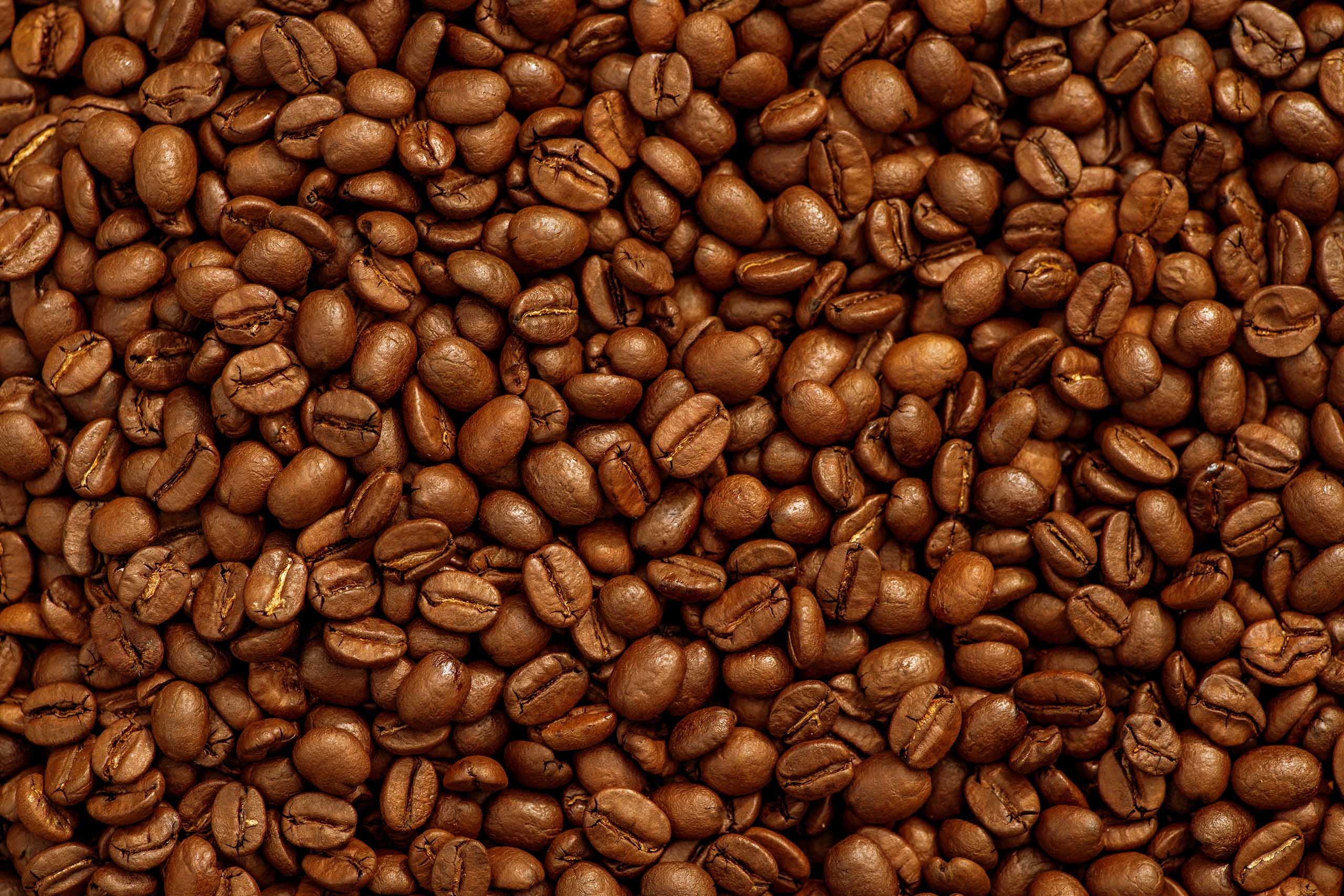 fresh_beans_unsplash
