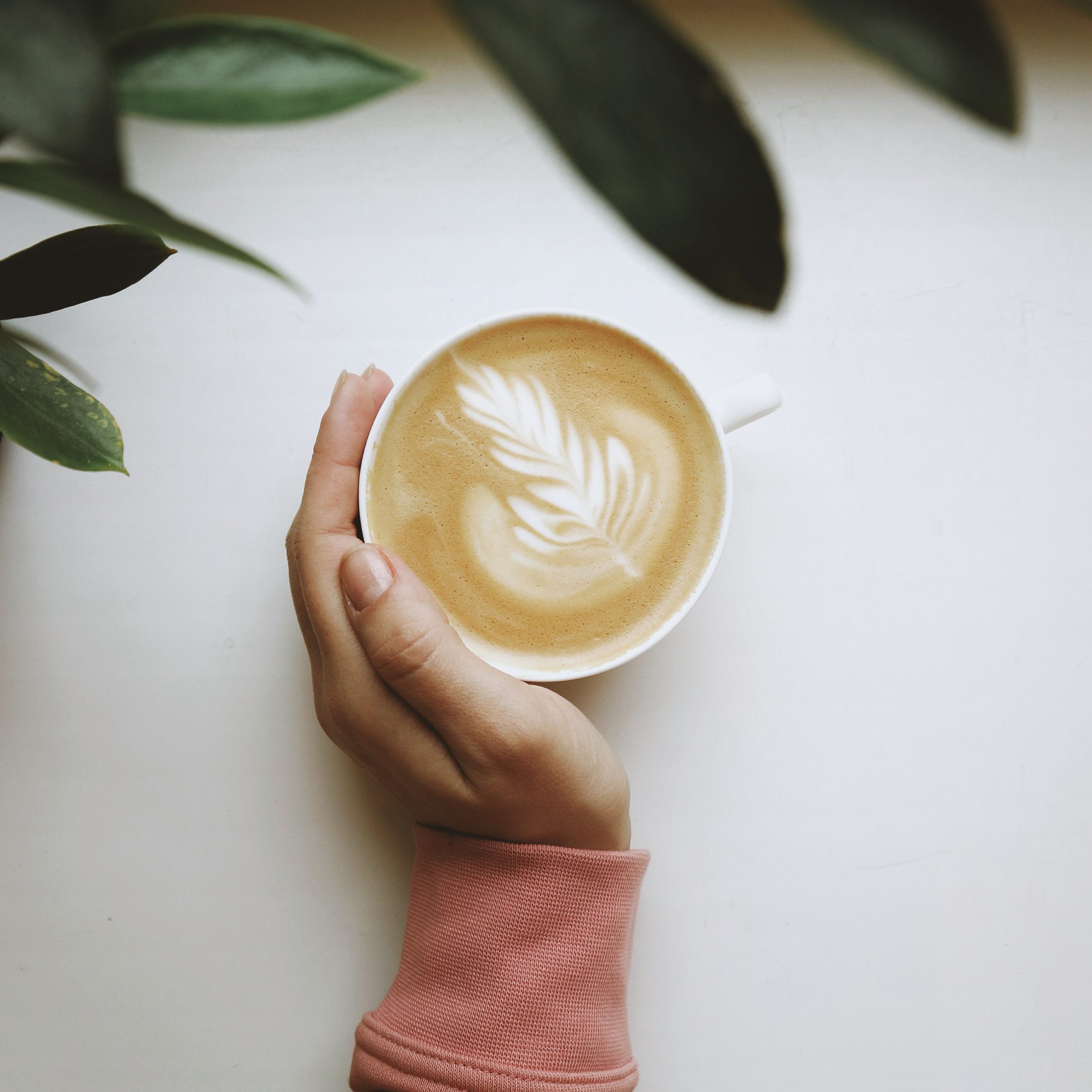 the_best_coffee_shop_2_unsplash